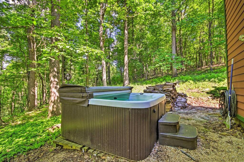 Acme Bear'S Eye View - Mountain Retreat W/ Hot Tub! 빌라 외부 사진